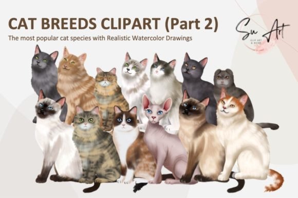 Cats Clipart Cat Breeds Cat Bundle Part2: Perfect Design Assets