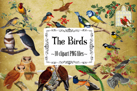 Elevate Your Projects with Vintage Birds Clipart