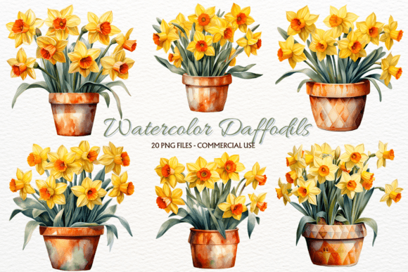 Spring Daffodil Flowers PNG Clipart: Brighten Your Digital Projects