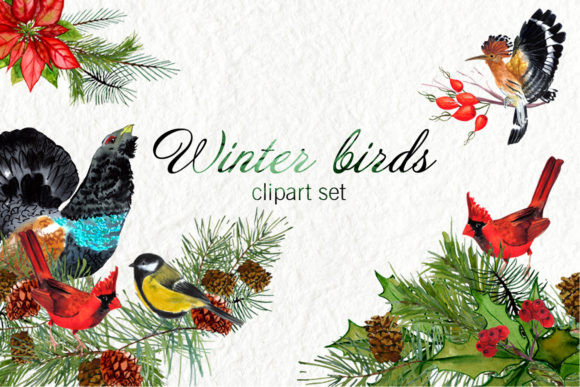 Winter's Palette: Designing with Watercolor Winter Birds
